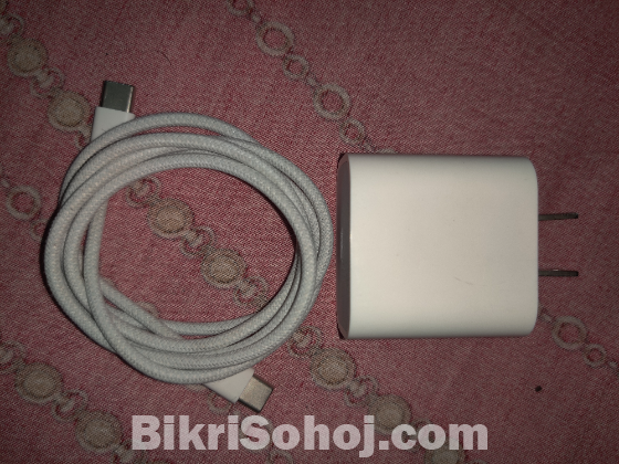 Apple 20 watt Charger